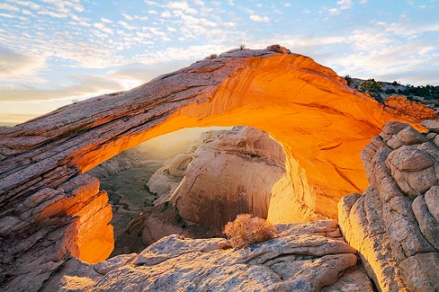 Thanksgiving Arch