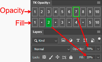 Opacity and Fill buttons